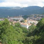 IMG_2320.jpg