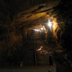 IMG_2403.jpg