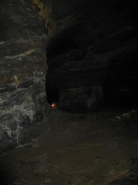 IMG_2416.jpg