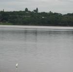 IMG_2536.jpg