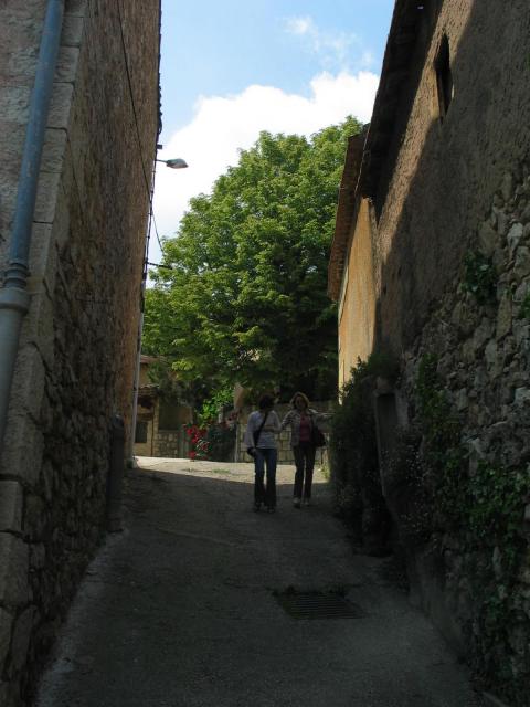 IMG_3446.jpg