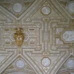 IMG_5245.jpg
