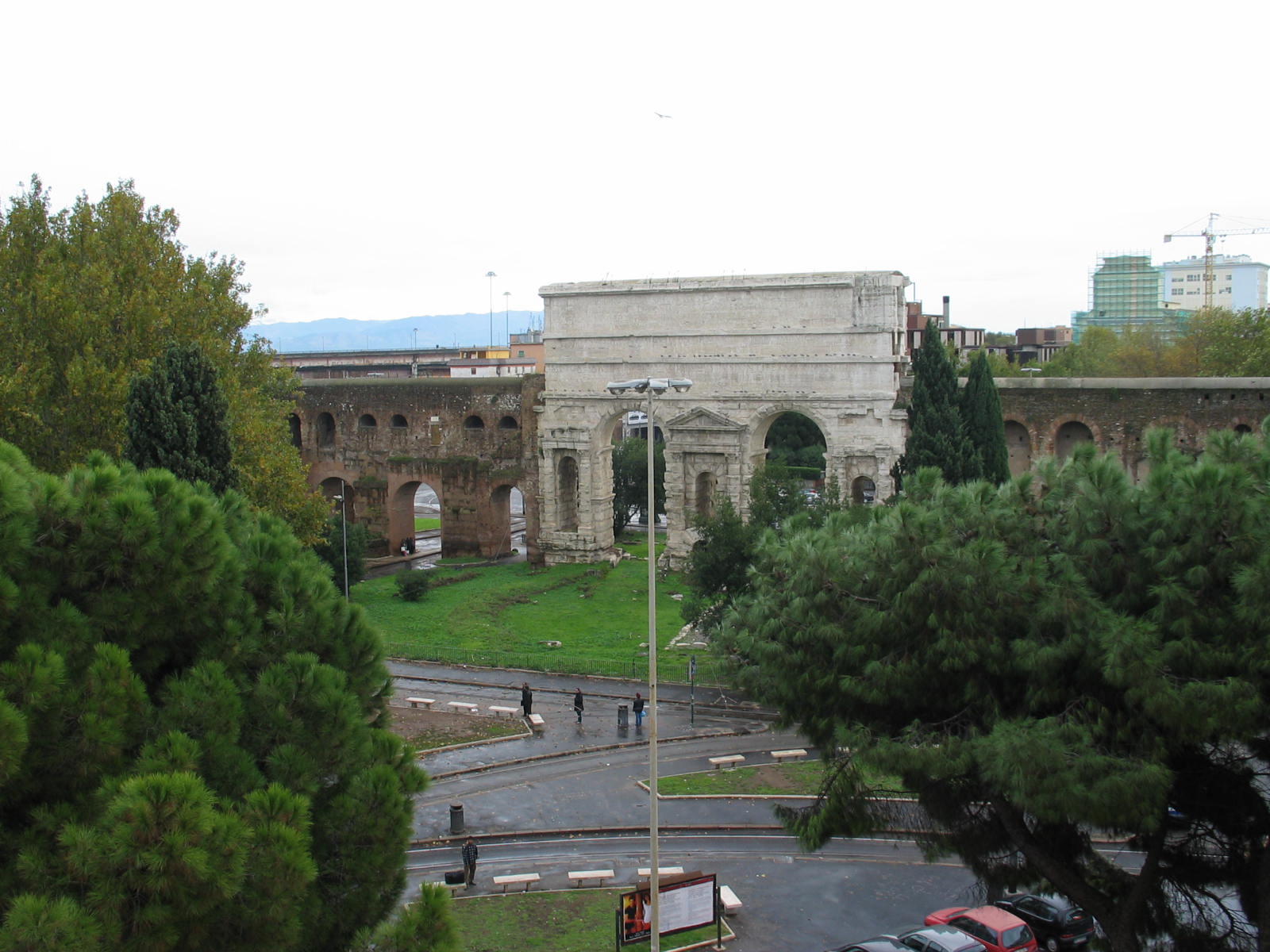 IMG_5298.jpg