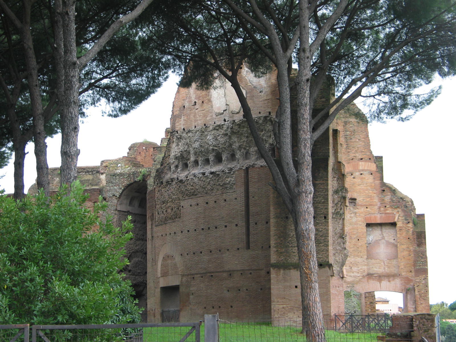 IMG_5303.jpg