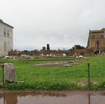IMG_5316.jpg