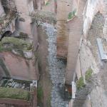 IMG_5327.jpg