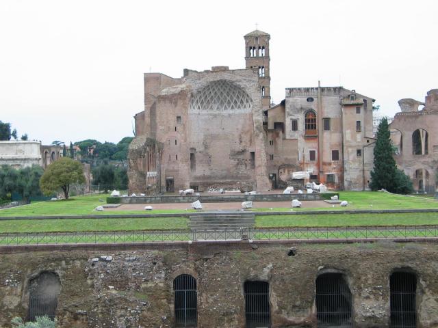 IMG_5345.jpg