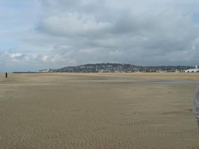 IMG_4912.jpg