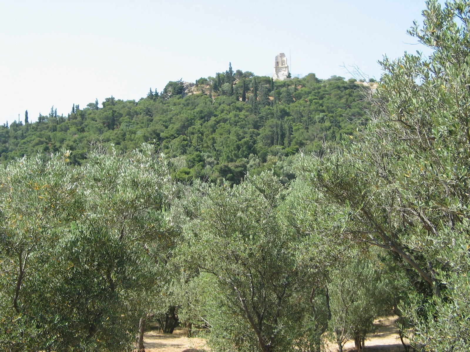 IMG_6083.jpg