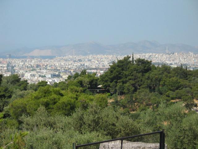 IMG_6087.jpg
