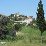 IMG_6124.jpg