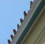 IMG_6145.jpg