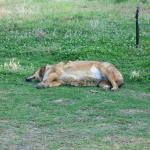 IMG_6189.jpg