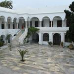IMG_6236.jpg