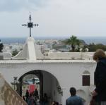 IMG_6238.jpg
