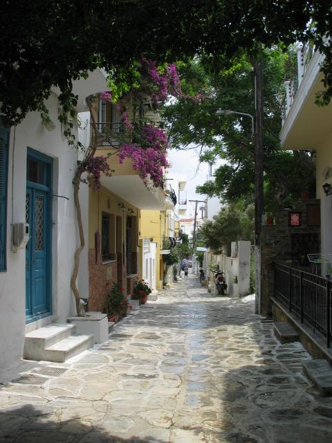 IMG_6245.jpg