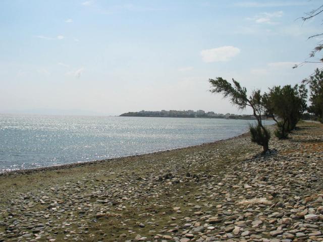 IMG_6246.jpg