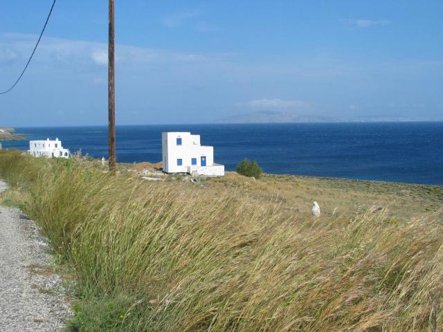 IMG_6248.jpg