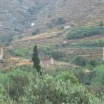 IMG_6310.jpg