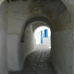 IMG_6350.jpg