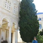 IMG_6383.jpg