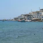 IMG_6390.jpg