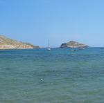 IMG_6391.jpg