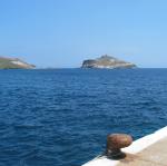 IMG_6393.jpg