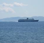 IMG_6412.jpg