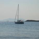 IMG_6415.jpg