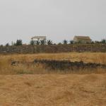 IMG_6495.jpg