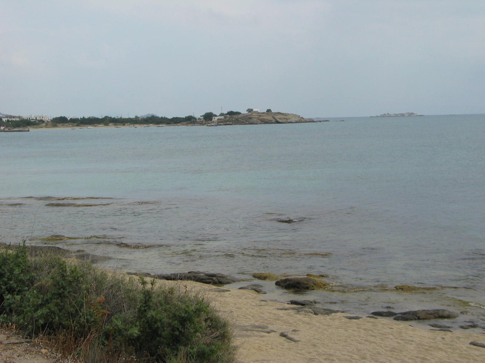 IMG_6702.jpg
