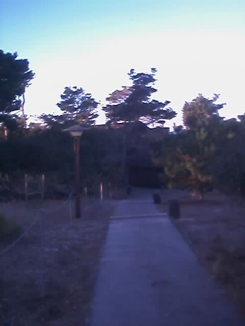 01_11_05_0706.jpg