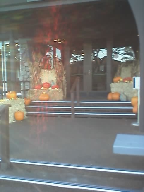01_11_05_0725.jpg