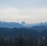 IMG_7174.jpg