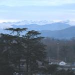 pano1.jpg