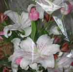 Fleurs