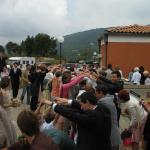 IMG_5675.jpg