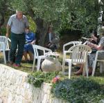 IMG_5869.jpg