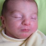 IMG_7370.jpg
