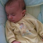 IMG_7743.jpg