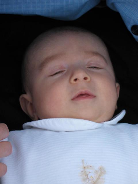 IMG_7774.jpg