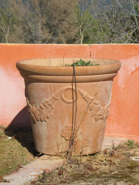 pot enterre cuite.jpg