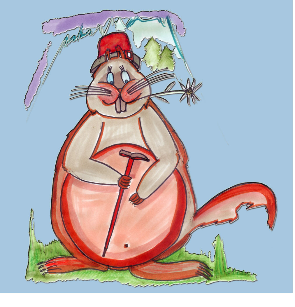 Marmotte