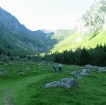 img_8059.jpg