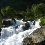 img_8061.jpg