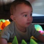 IMG_8288.jpg