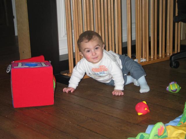 IMG_8532.jpg