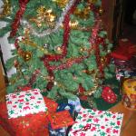Vacances de Noel