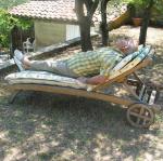 img_9695.jpg